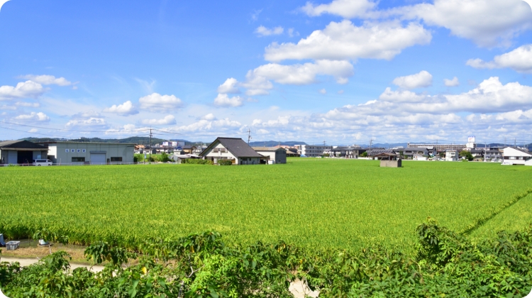 大元小学校区